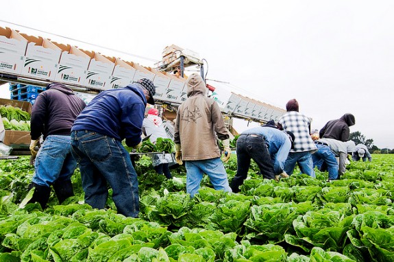 New Report Underscores Economic Folly of S.B. 1070-Type Laws in California