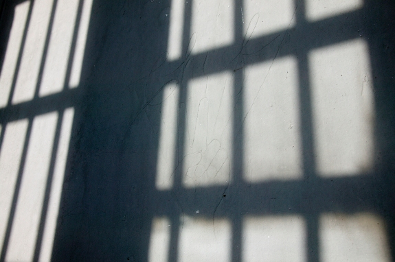 U.S. Sentencing Commission Data Reveals Dysfunction of U.S. Immigration System