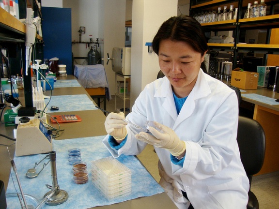 New Brookings Report Examines Demand for H-1B High Skilled Worker Visas