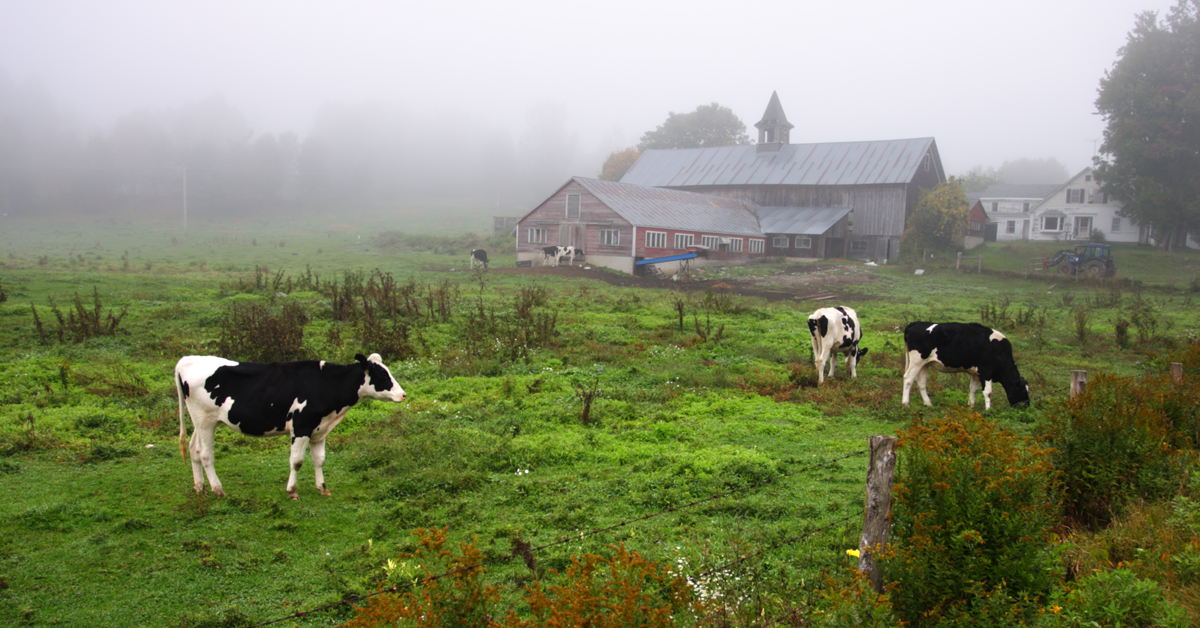 The Contributions of New Americans in Vermont