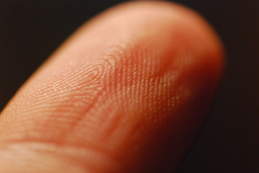 Homeland Security Agency Dismantles Ineffective, Discriminatory Muslim Registry