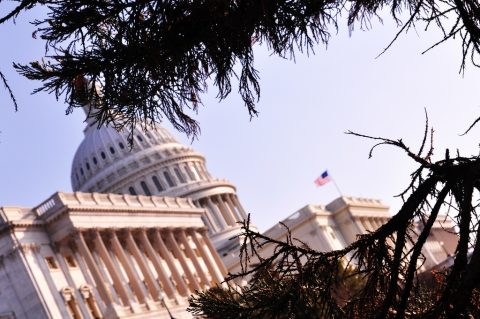 Students Storm Capitol Hill for National DREAM Act Graduation Day