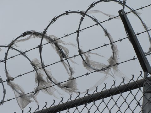 The Dire State of Immigration Detention in Georgia
