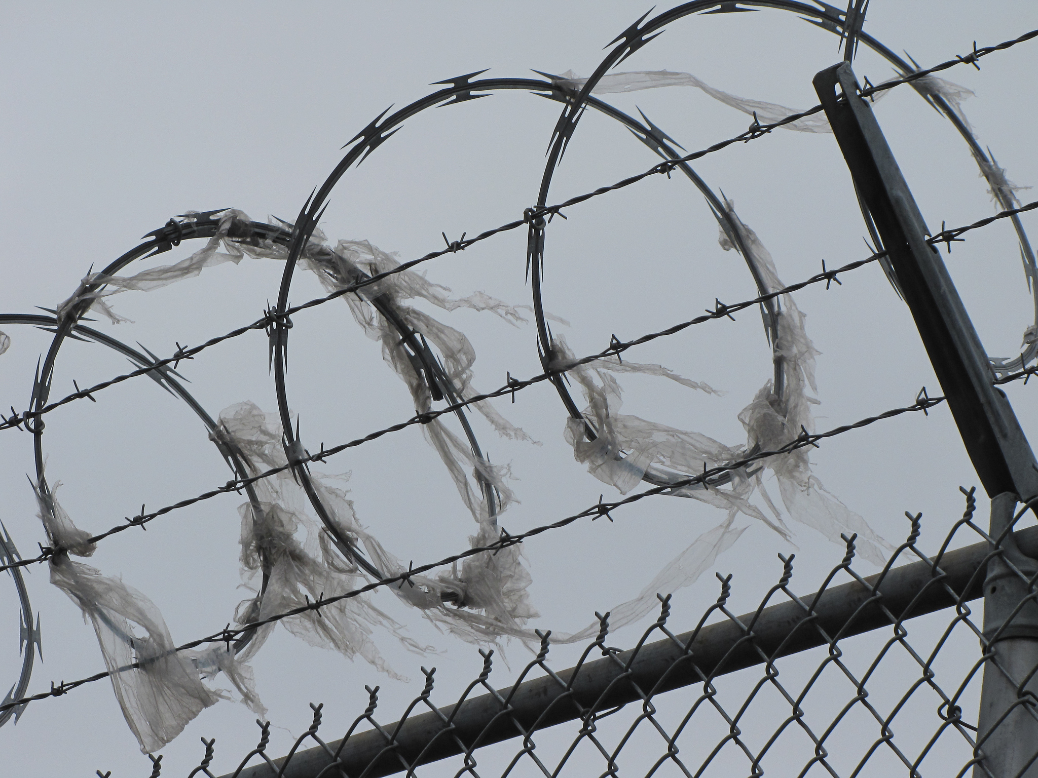 The Dire State of Immigration Detention in Georgia