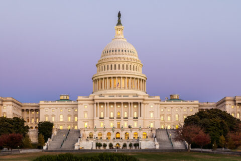 A Variety of Legislation Has Been Introduced in Congress to Protect Dreamers