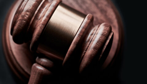 A Florida Court Blocks ‘Parole + ATD’ Program in Latest Fight Between State and Federal Immigration Authority