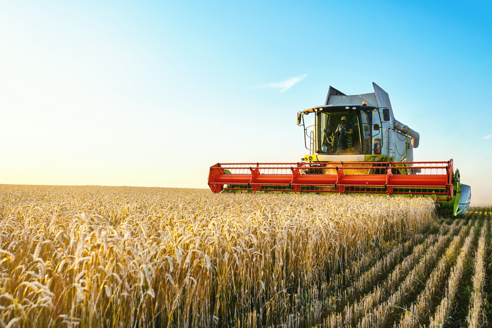 The Expanding Role of H-2A Workers in U.S. Agriculture