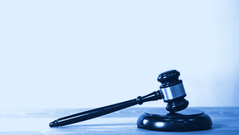 Council Sues Immigration Agencies for Records of Enforcement Databases