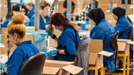 Labor Market Series