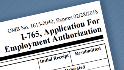 Employment Authorization Documents Adjudication Delays
