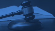 Council Submits Declaration in Deportation Moratorium Case, Explaining the Complex System of Enforcement and Removal