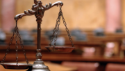 Litigation for Business Immigration Practitioners