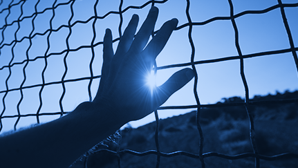 Seeking Release from Immigration Detention