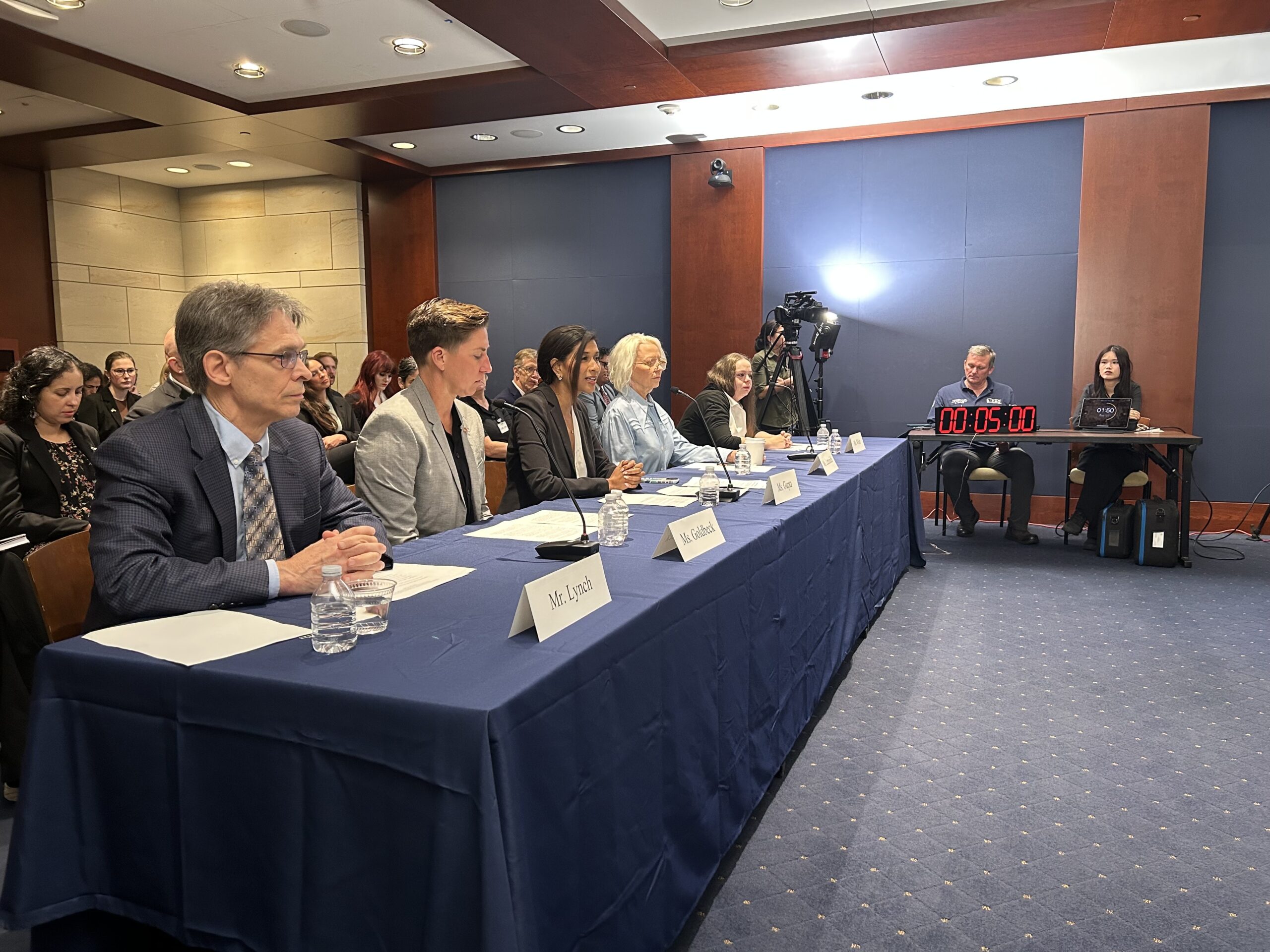 Nayna Gupta Testifies at Shadow Hearing on Deportation’s Impact on Families and Communities