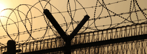 Trump Administration Deadlier for ICE Detainees Than COVID-19 Pandemic