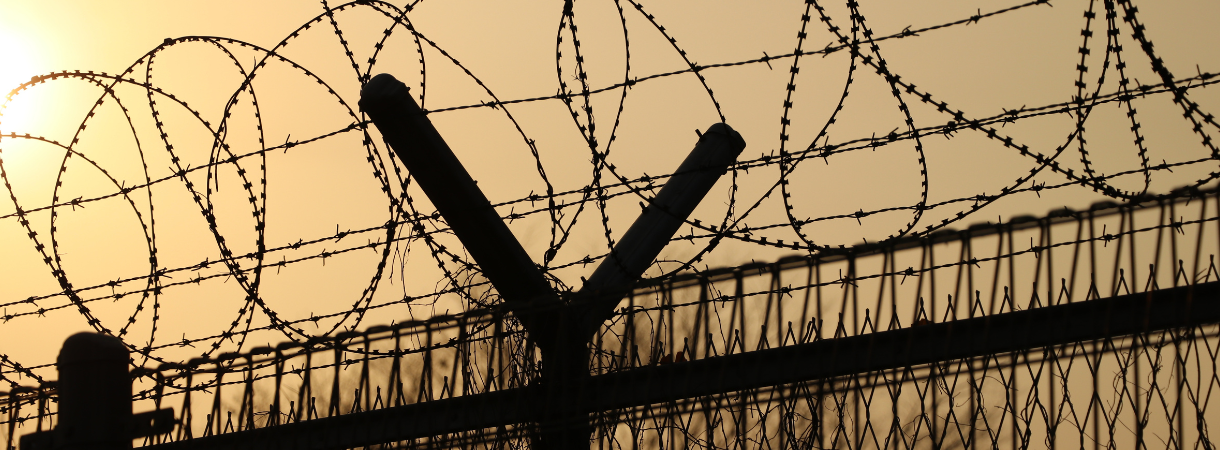 Trump Administration Deadlier for ICE Detainees Than COVID-19 Pandemic
