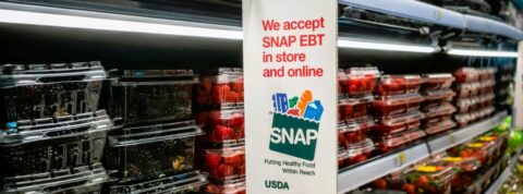 Can Undocumented Immigrants Get SNAP or Medicaid? The Truth About Federal Benefits