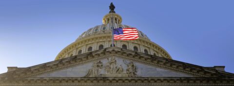 Congress Has Let Trump Go Wild. The Midterms Could Fix That.