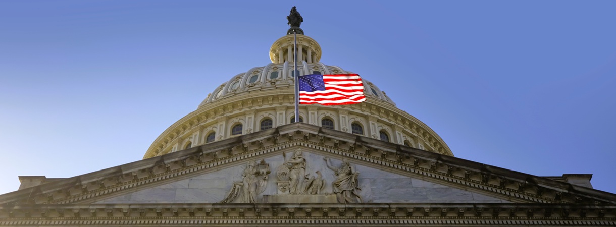 Congress Has Let Trump Go Wild. The Midterms Could Fix That.