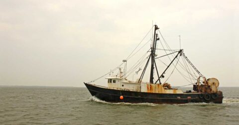 Catch as Catch Can: How a Worker Shortage in Fish Processing Facilities is Slowing U.S. Economic Growth