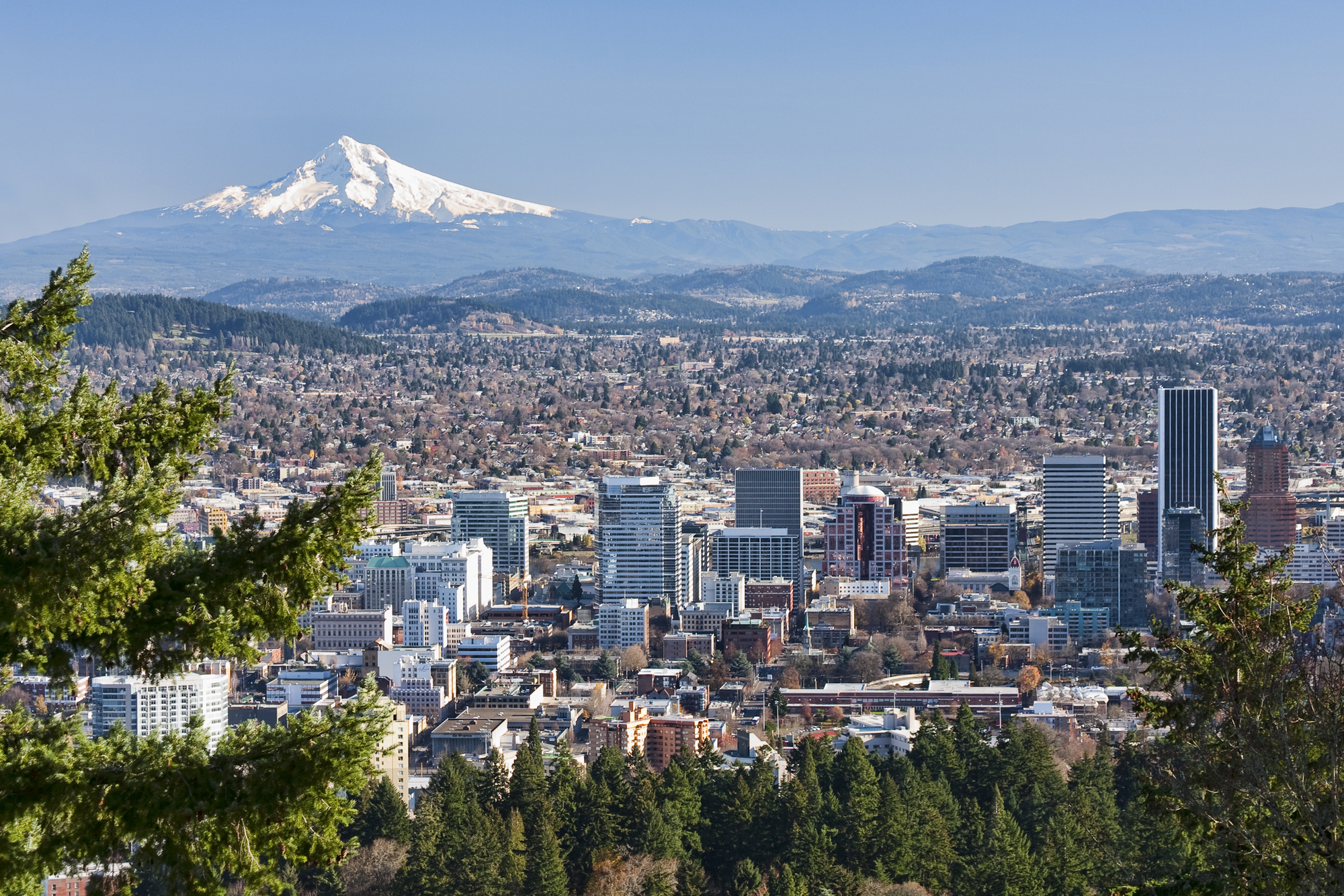 New Americans in Portland
