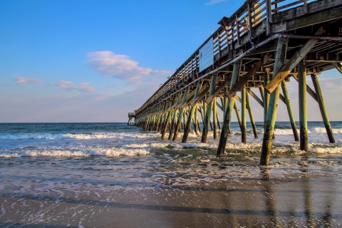 Immigrants in South Carolina’s Workforce